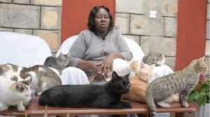 Una donna con dei gatti