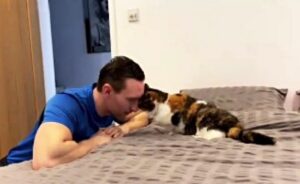 L’amore più immenso: quest’uomo è stato al fianco di questa gatta di 23 anni da quando ne aveva 11