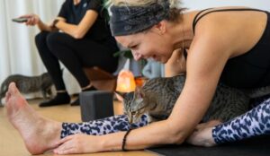 Questo centro yoga ha svoltato con dei gattini antistress che girovagano durante le lezioni
