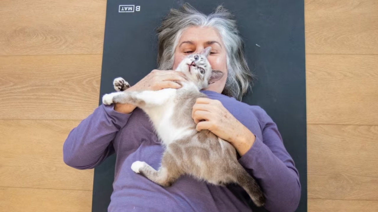 gatto e donna