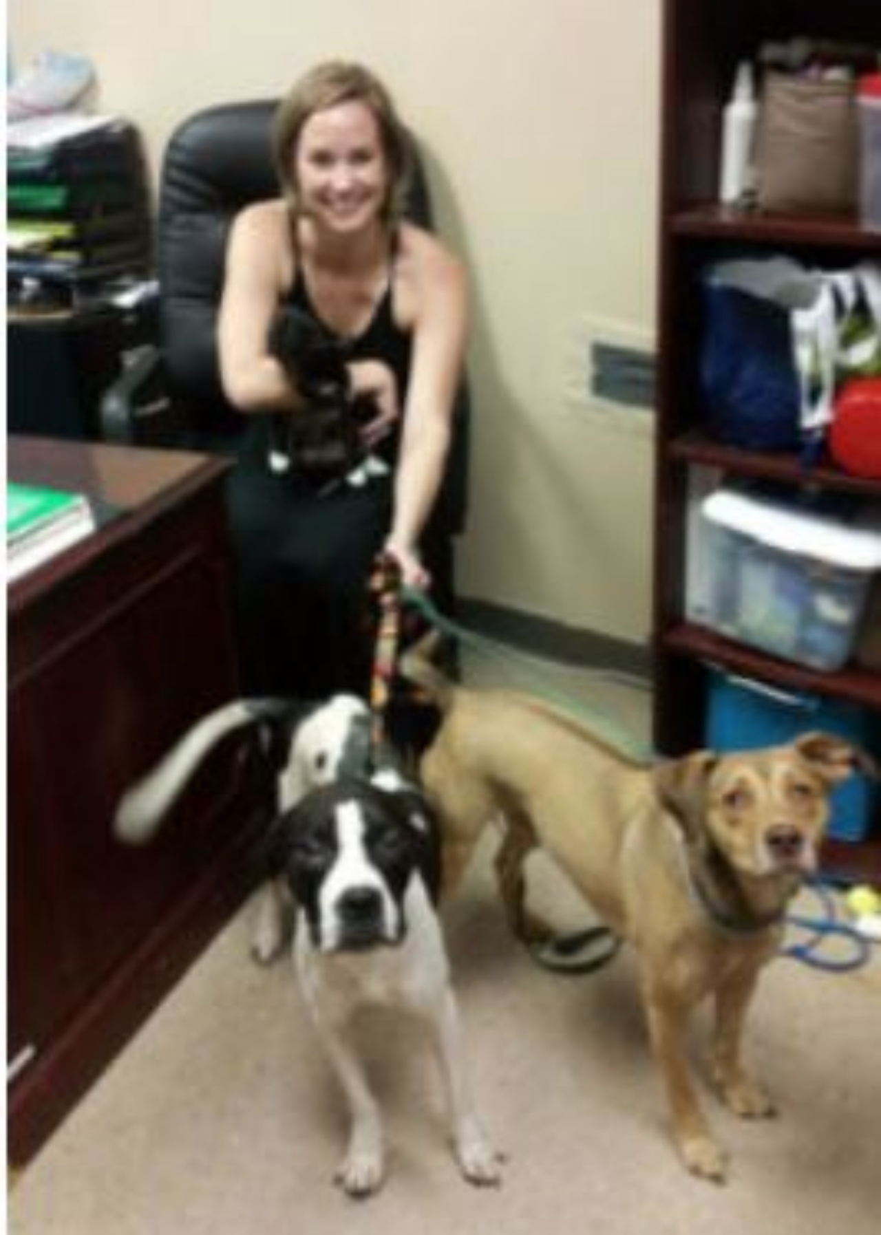 Ali Carter con i suoi cani e un gatto di nome Andie