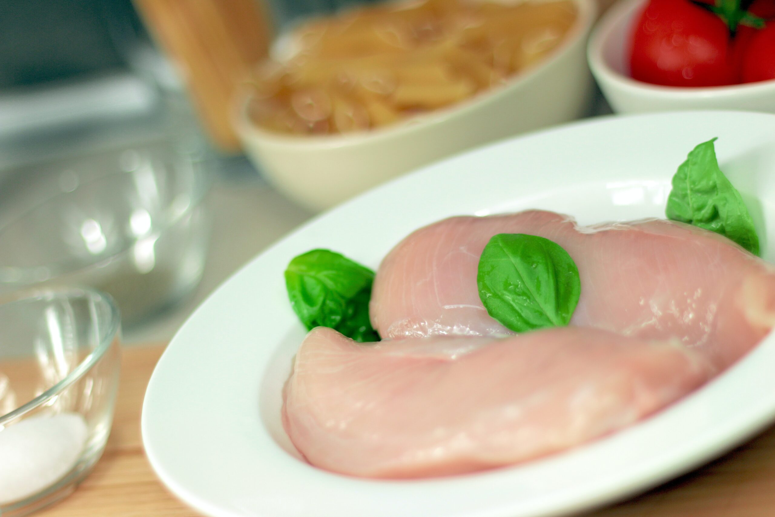 petto di pollo per gatti