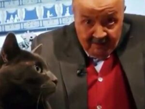 Maurizio Costanzo e il suo grande amore per i gatti