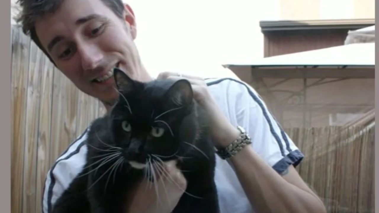 gatto bianco e nero in braccio a ragazzo