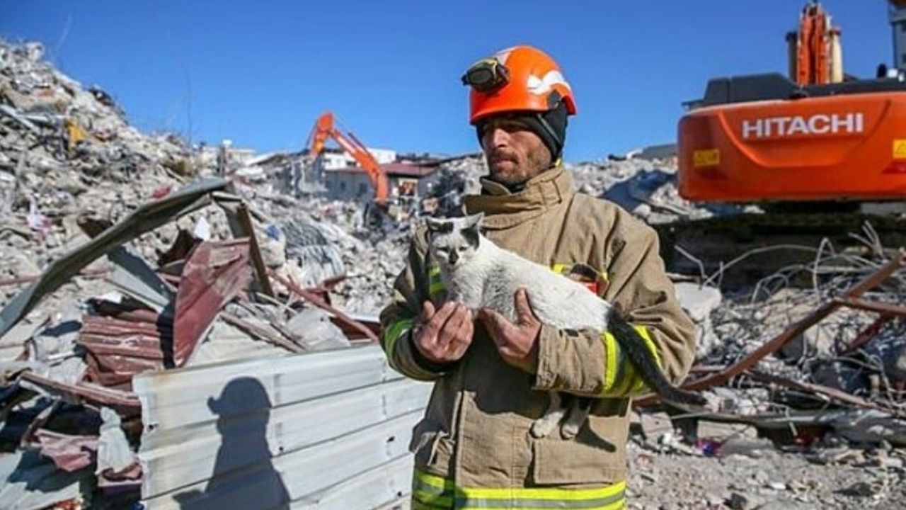 gatto in braccio a pompiere