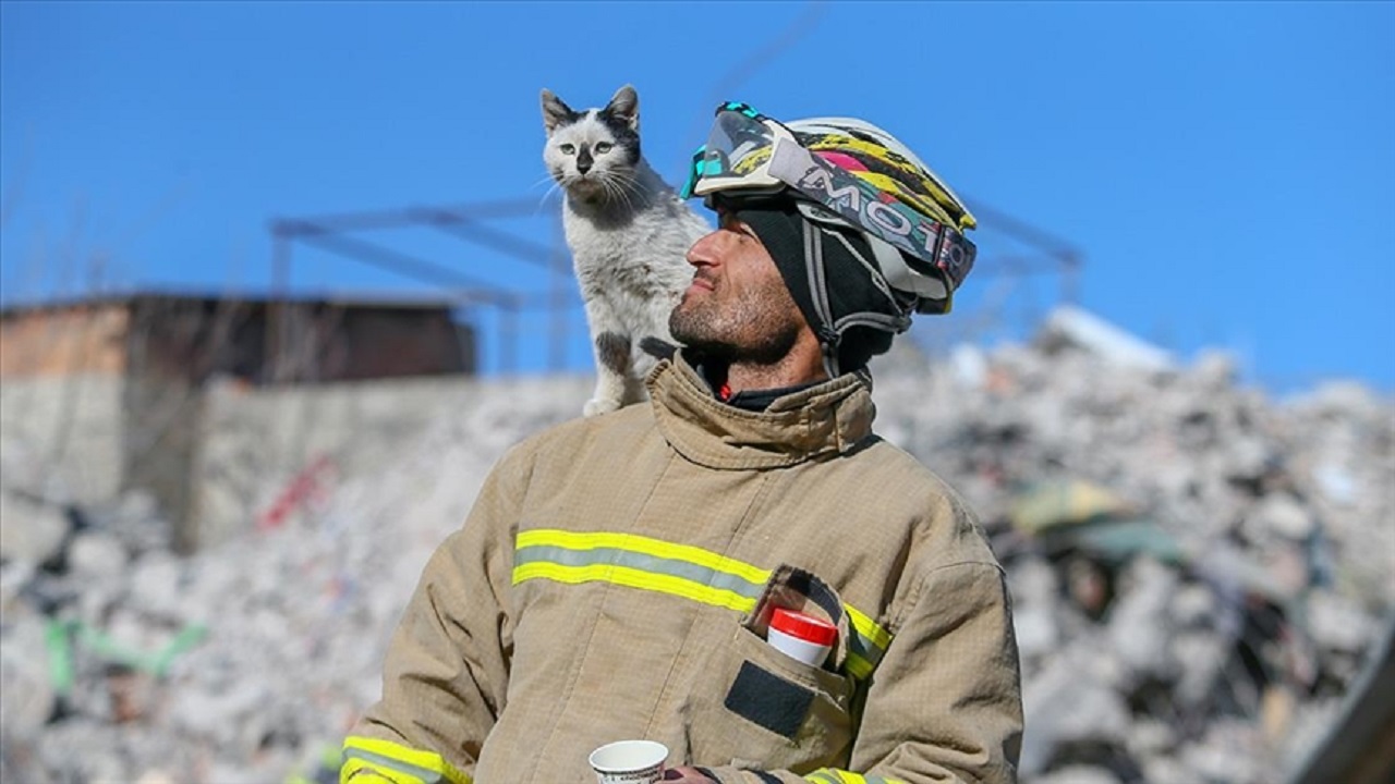 Gatto con il suo soccorritore