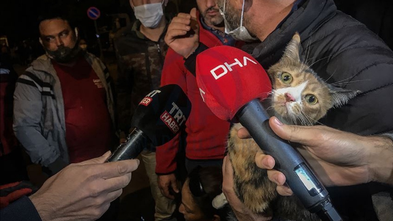 Gatto tra le braccia dei soccorritori