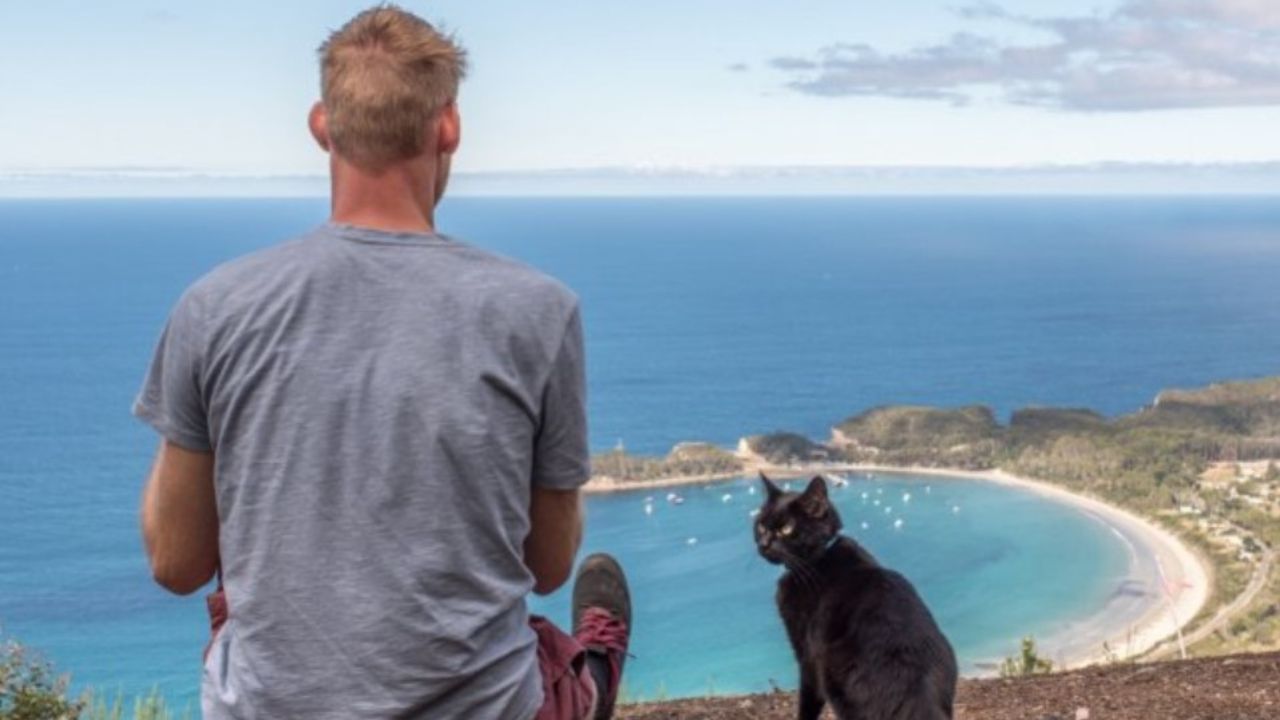 gatto nero e ragazzo sul mare 