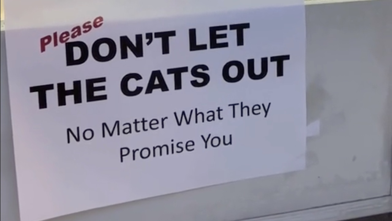 Messaggio in cui si invita a non far uscire i gatti