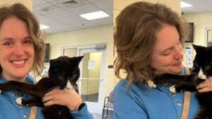 La donna non riesce a contenere le lacrime: ha riabbracciato il suo gatto dopo ben 9 anni