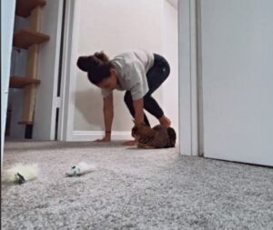 La mamma umana si siede accanto al gatto, imitandolo: lui non ne sembra proprio felice