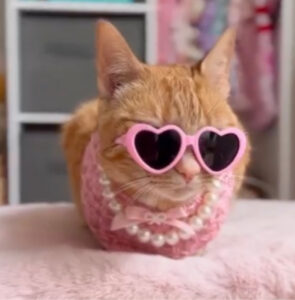 Lei è Honey Belle, è famosissima sui social e scommettiamo che da adesso la adorerete