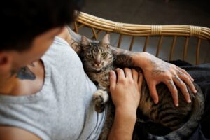 gatto e umana