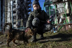 Questa bambina è un angelo: si impegna a dar da mangiare ai gatti randagi del suo quartiere in Ucraina