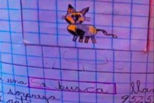 La bimba vuole ritrovare il suo gatto e fa di tutto: prova persino a fare un suo ritratto