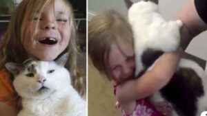 La bambina non riesce a contenere la sua gioia quando trova in un rifugio il gatto che credeva perso