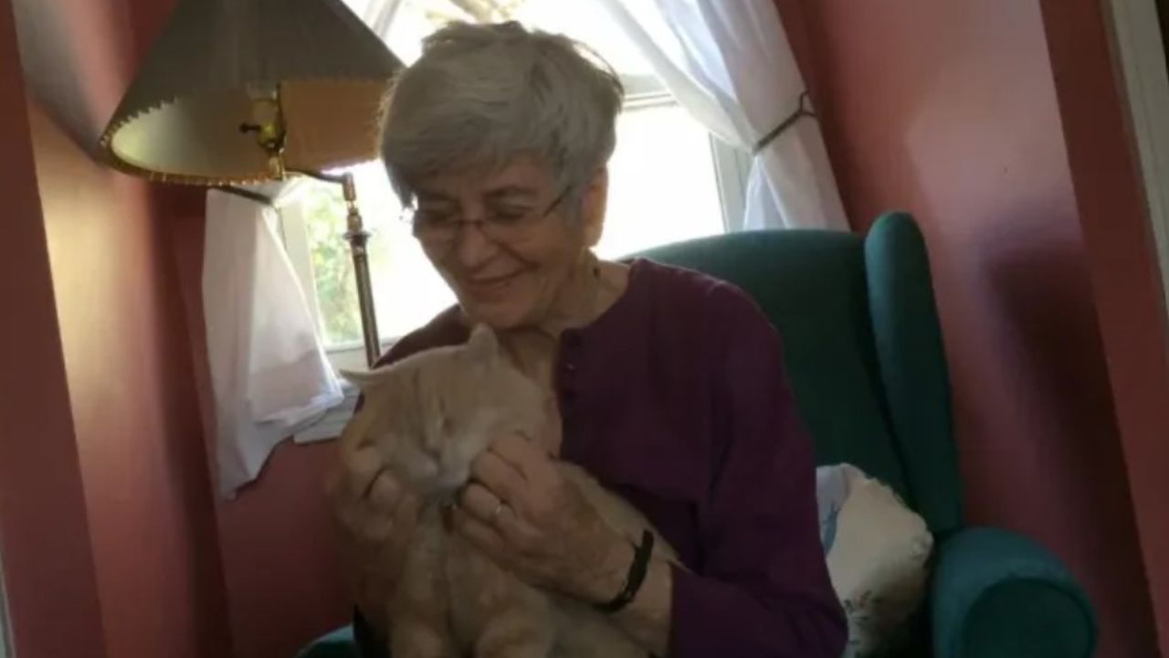 donna anziana con gattino 
