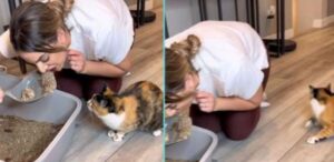 La donna inganna il suo gatto fingendo di mangiare qualcosa dalla lettiera: il micio non crede ai suoi occhi