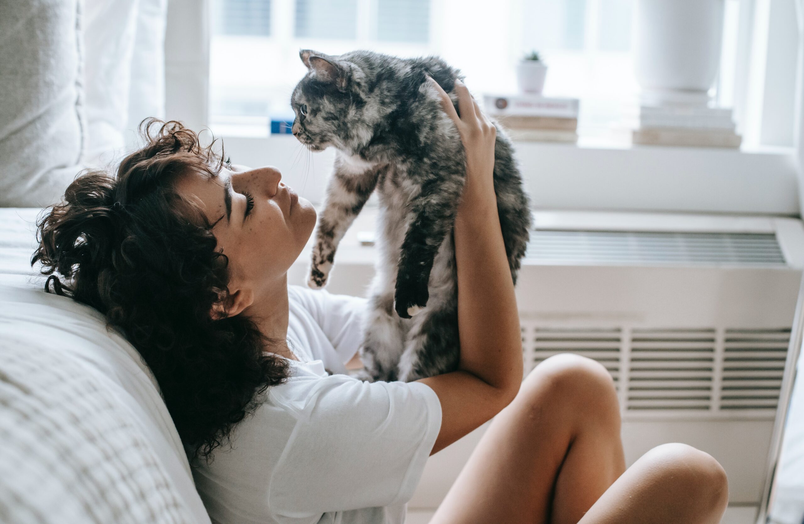 gatto che riceve coccole