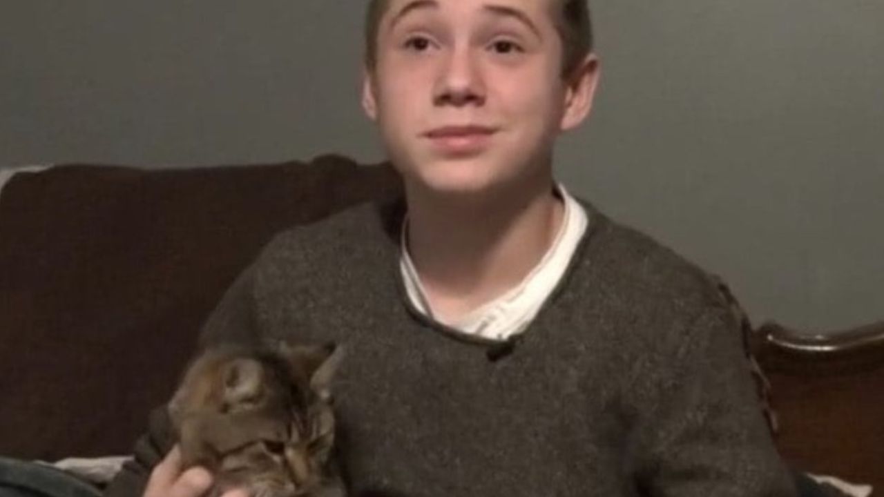 gatto in braccio ad un ragazzo