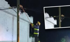 Salvano un gatto rimasto bloccato in cima a un palo elettrico, ma nessuno sa come c’è arrivato