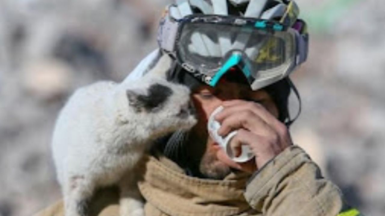 uomo che beve con gatto sulla spalla