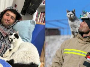 Non ha voluto lasciare andare il suo salvatore: questo gatto è stato adottato da chi lo ha recuperato in Turchia