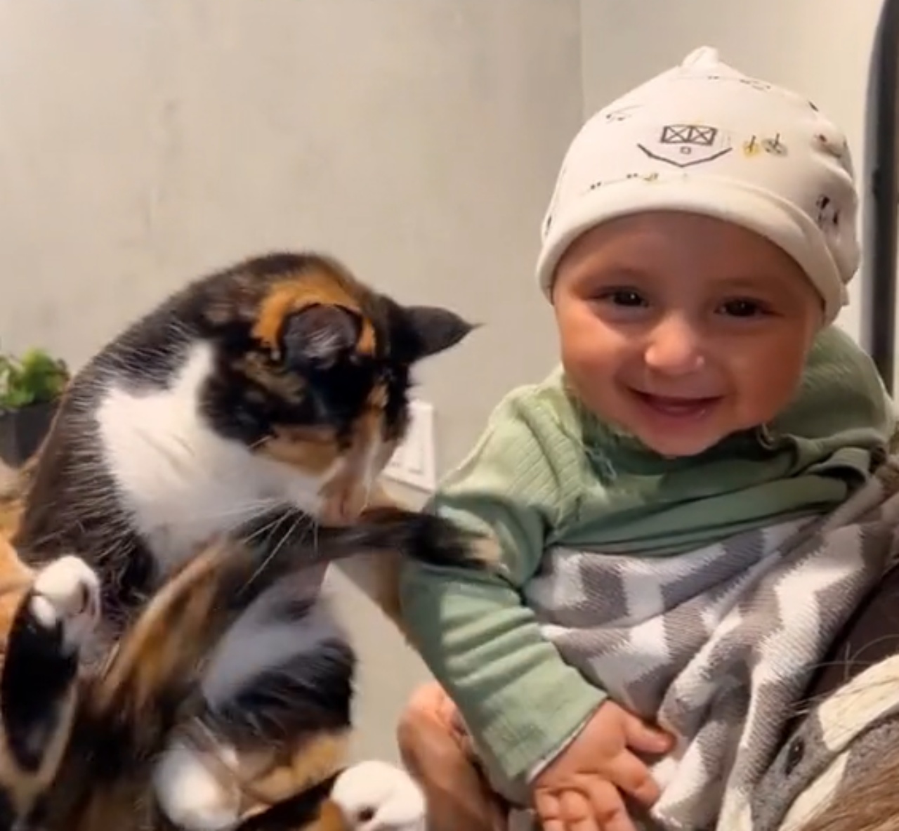 Gatto e bambino