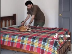 Il ragazzo mostra cosa significa rifare il letto quando in giro c’è il suo gatto arancione