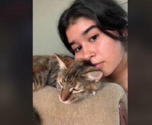 Per il gatto è quasi la fine: la sua sorellina umana non riesce a trattenere le lacrime