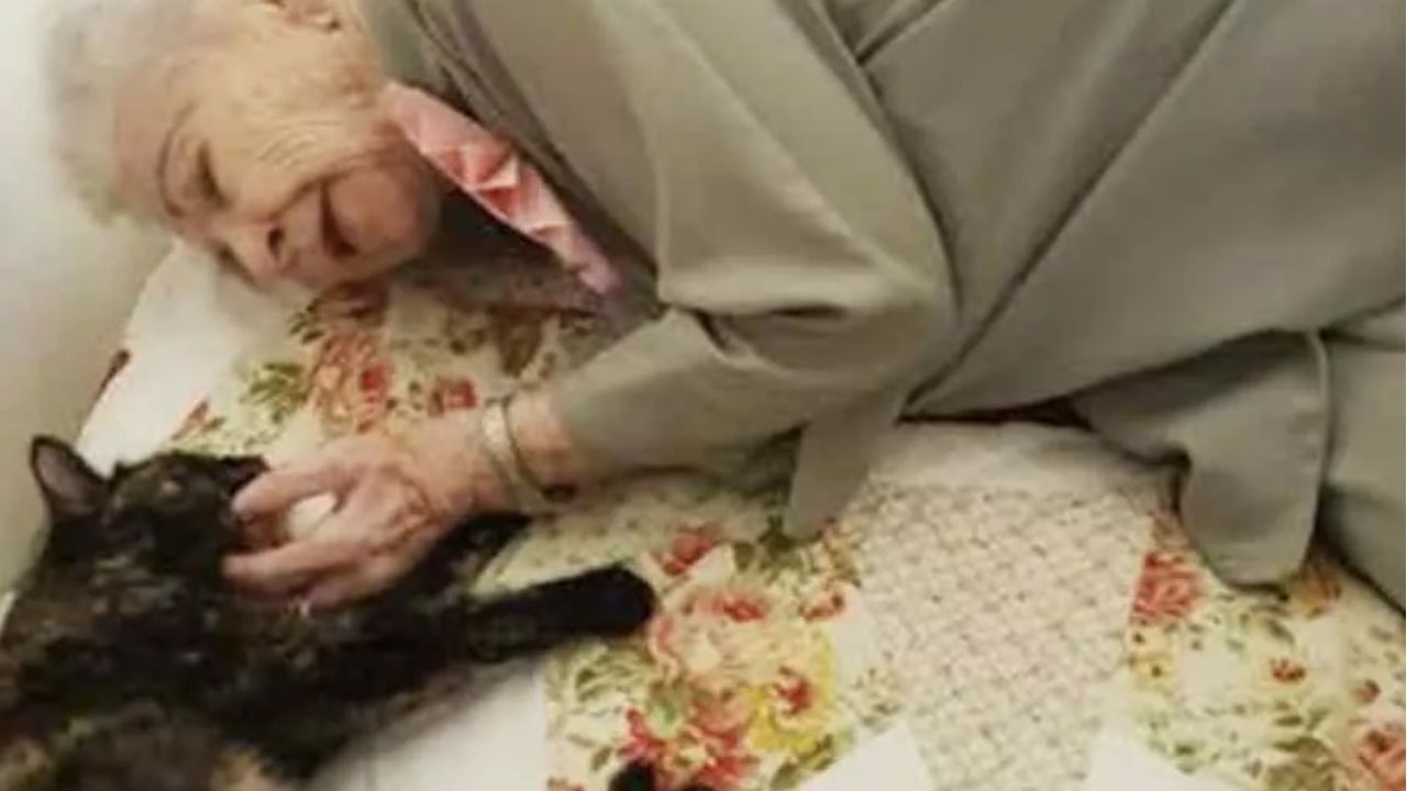 anziana sul letto insieme al suo gatto