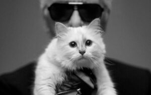 Choupette, la gatta di Karl Lagerfeld