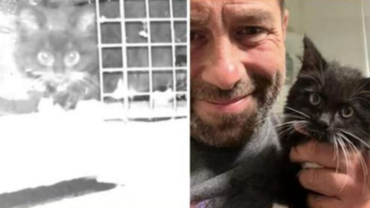 Un gattino nero con un uomo