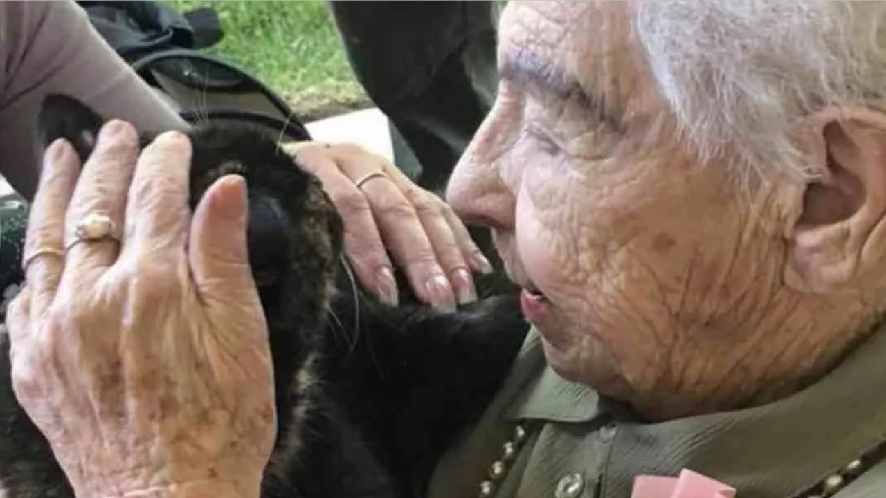 gatto in braccio ad una donna anziana