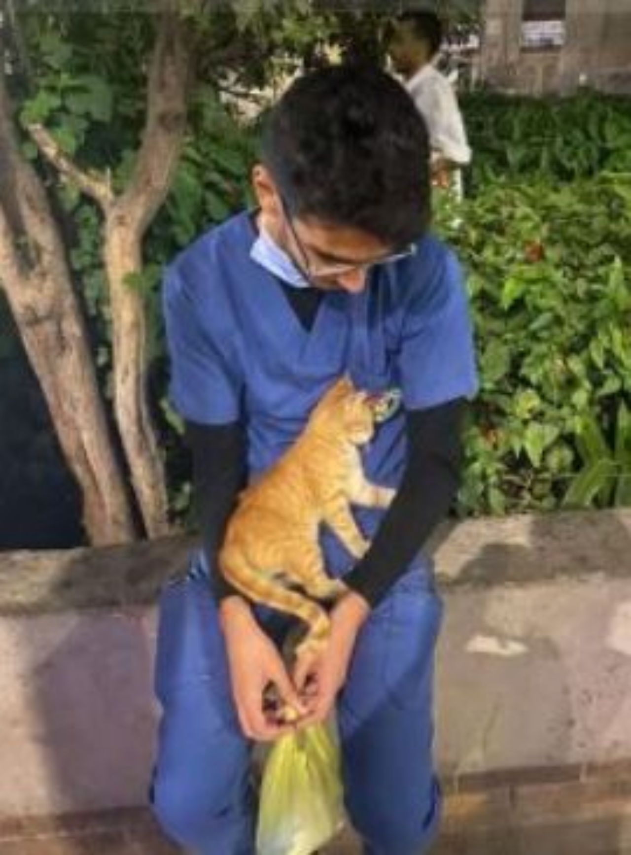 Un infermiere insieme ad un gatto arancione