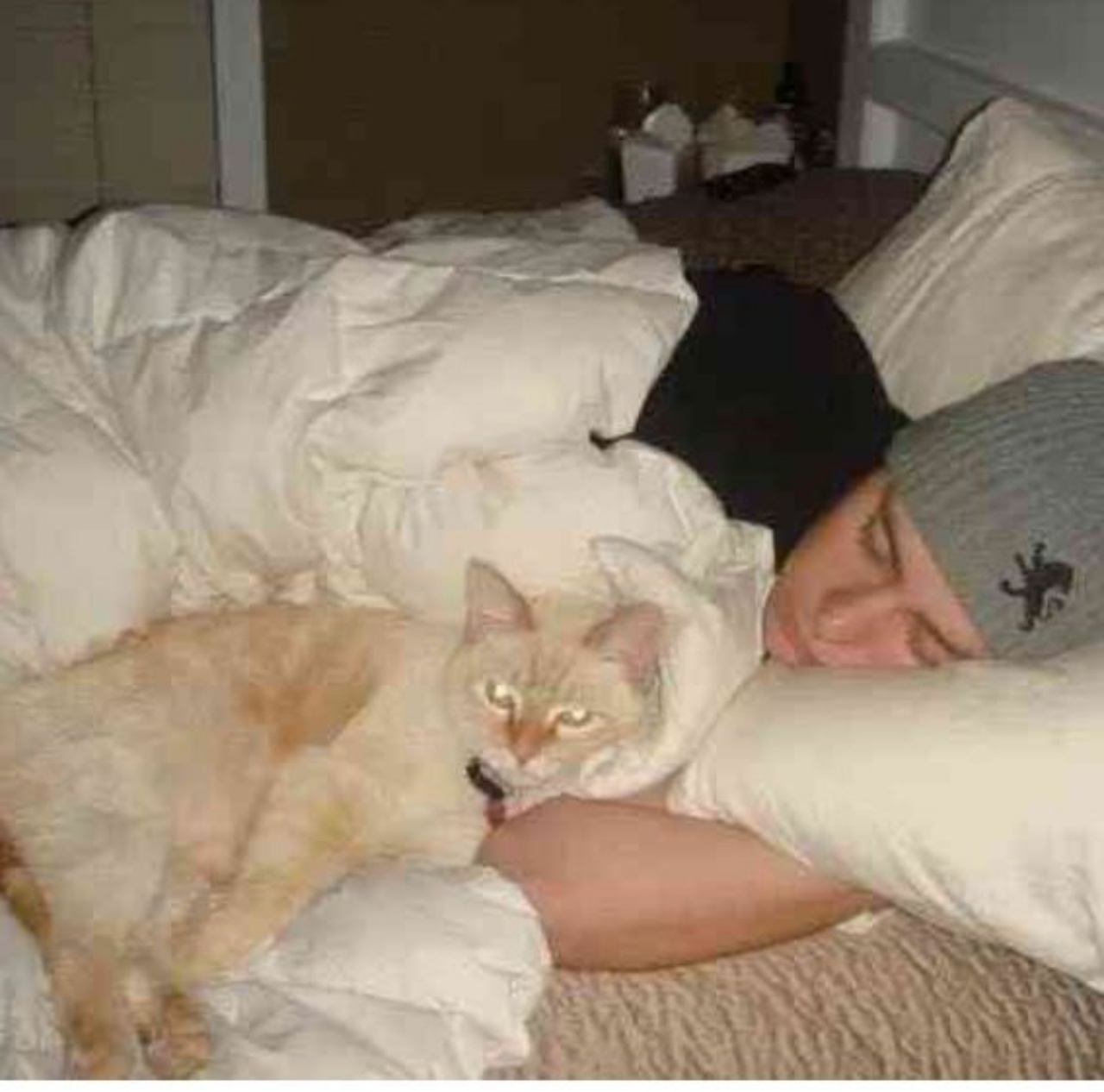 Un ragazzo dorme con un gatto