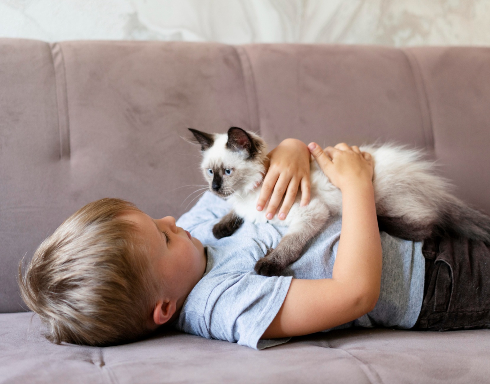 gatto e bambino