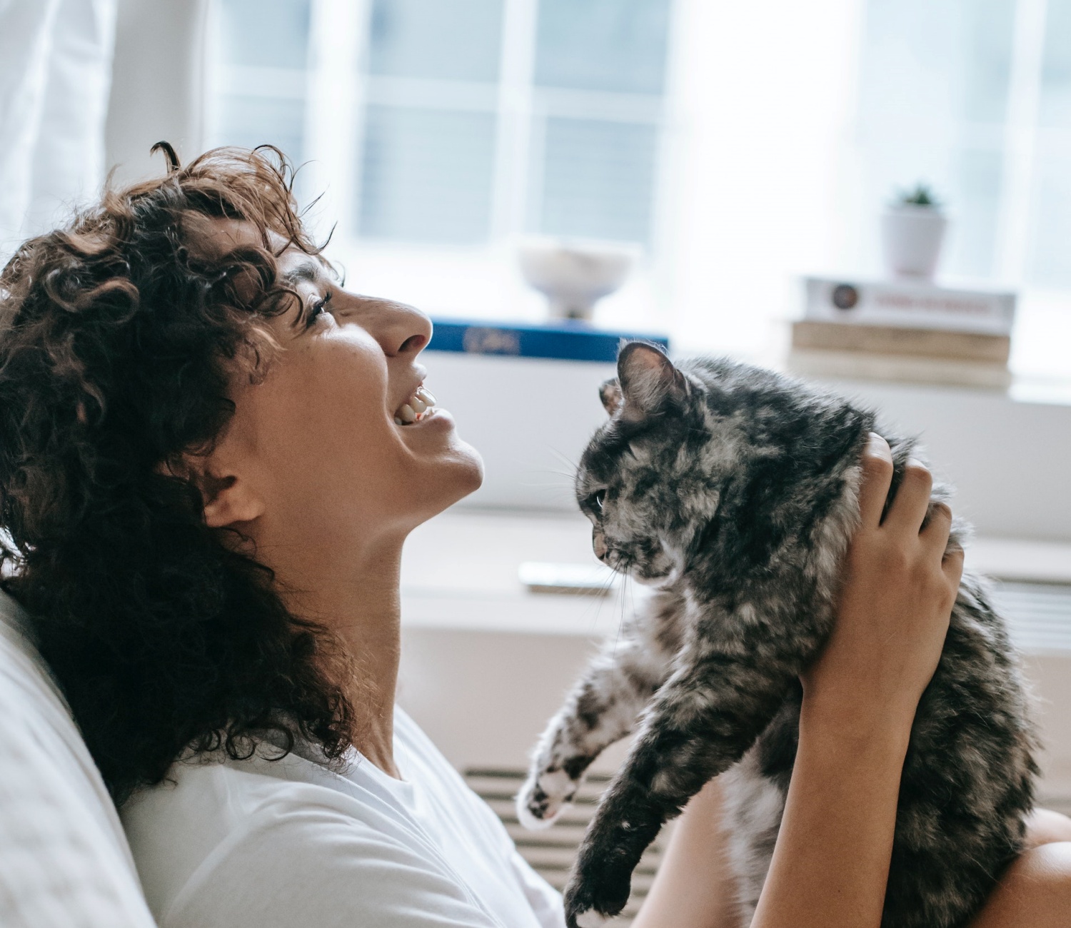 gatto e donna