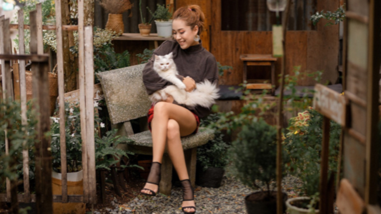 Gatto con una donna