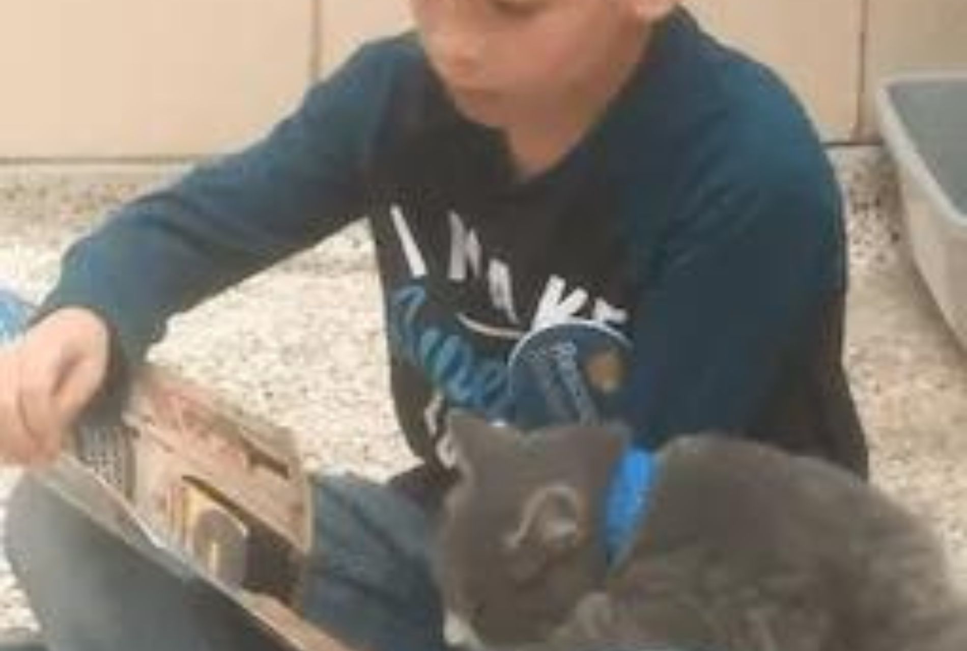 bambino legge al gatto