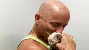 Quest’uomo ha trasformato la sua casa in un paradiso per i 22 gatti che ha salvato