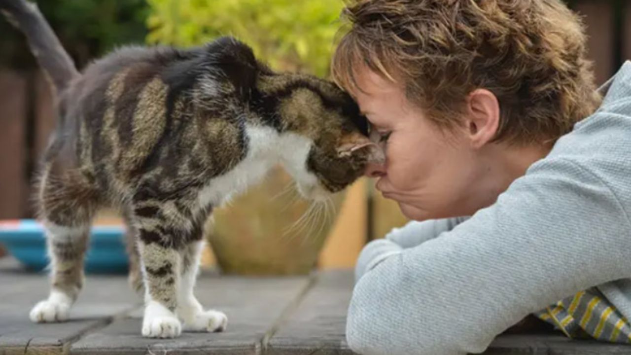 donna e gatto ad occhi chiusi