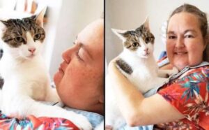 Questo gatto eroe è riuscito a salvare la sua padrona dalla morte in modo incredibile (VIDEO)