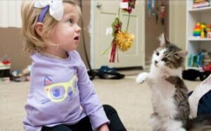 Amore senza confini: il gattino e la bimba, entrambi con una malformazione, diventano inseparabili