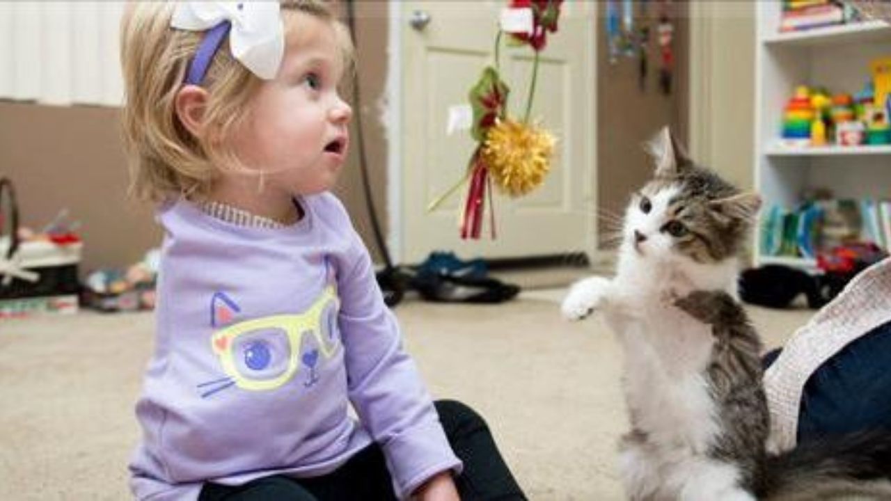 gattino e bimba amputati