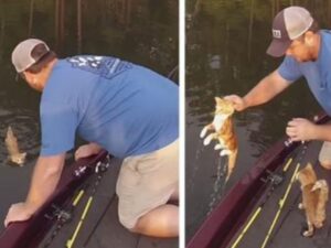 pescatore che trasporta i gatti sulla barca