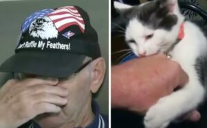 L’uomo anziano si commuove parlando del suo gatto che gli ha salvato la vita (VIDEO)