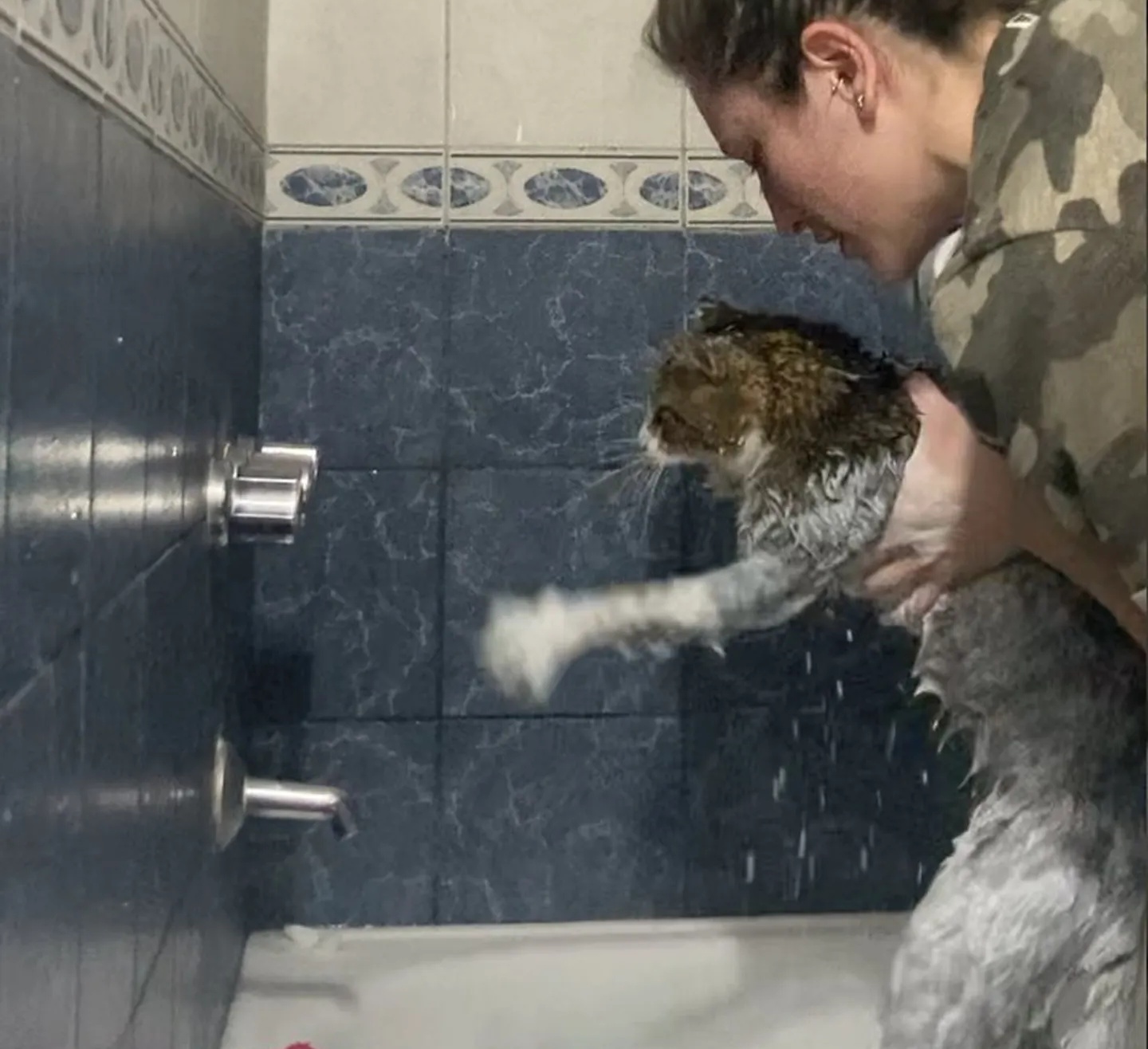lavare gatto