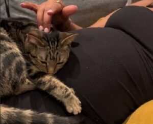 La futura mamma è sopraffatta dalla gioia quando capisce che il suo gatto si è reso conto della gravidanza