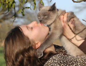 Questo è il modo corretto per prendere il tuo gatto, senza fargli male